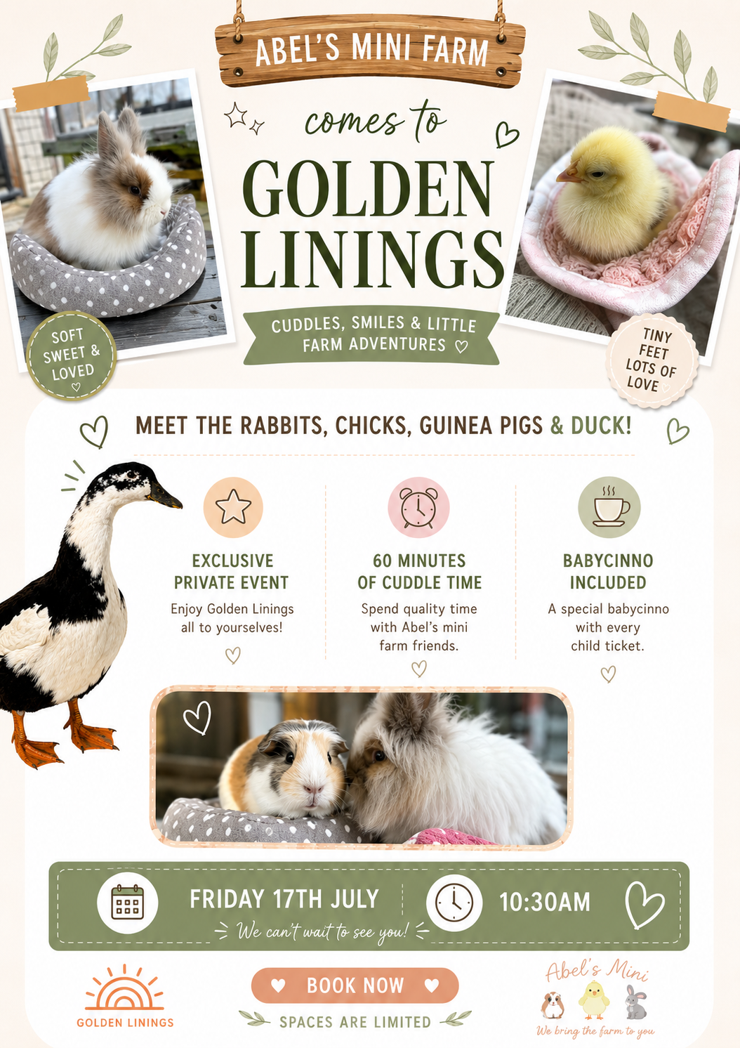 Abel’s Mini Farm comes to Golden Linings