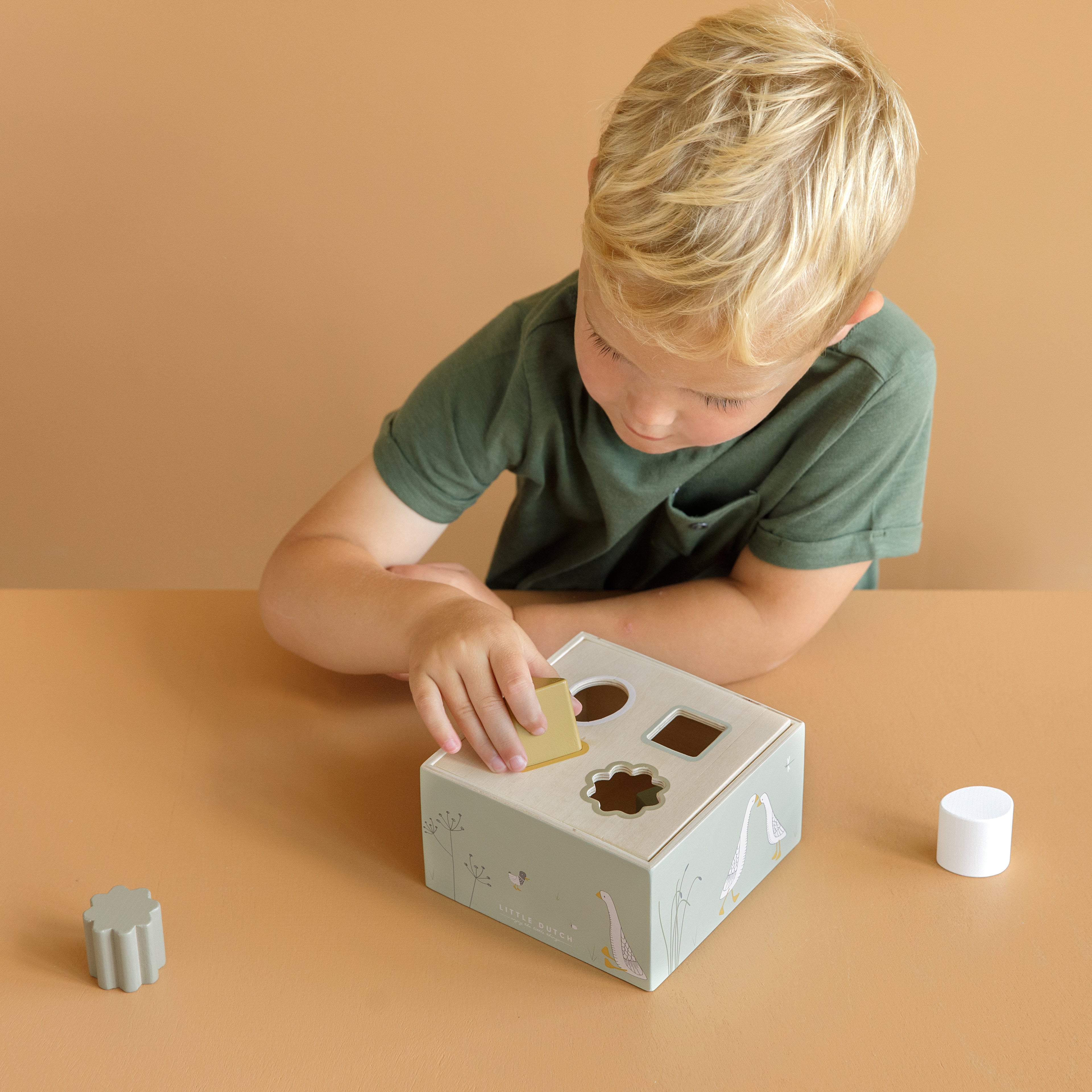 Shape Sorter Little Goose