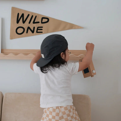 Wild one Pennant wall sign