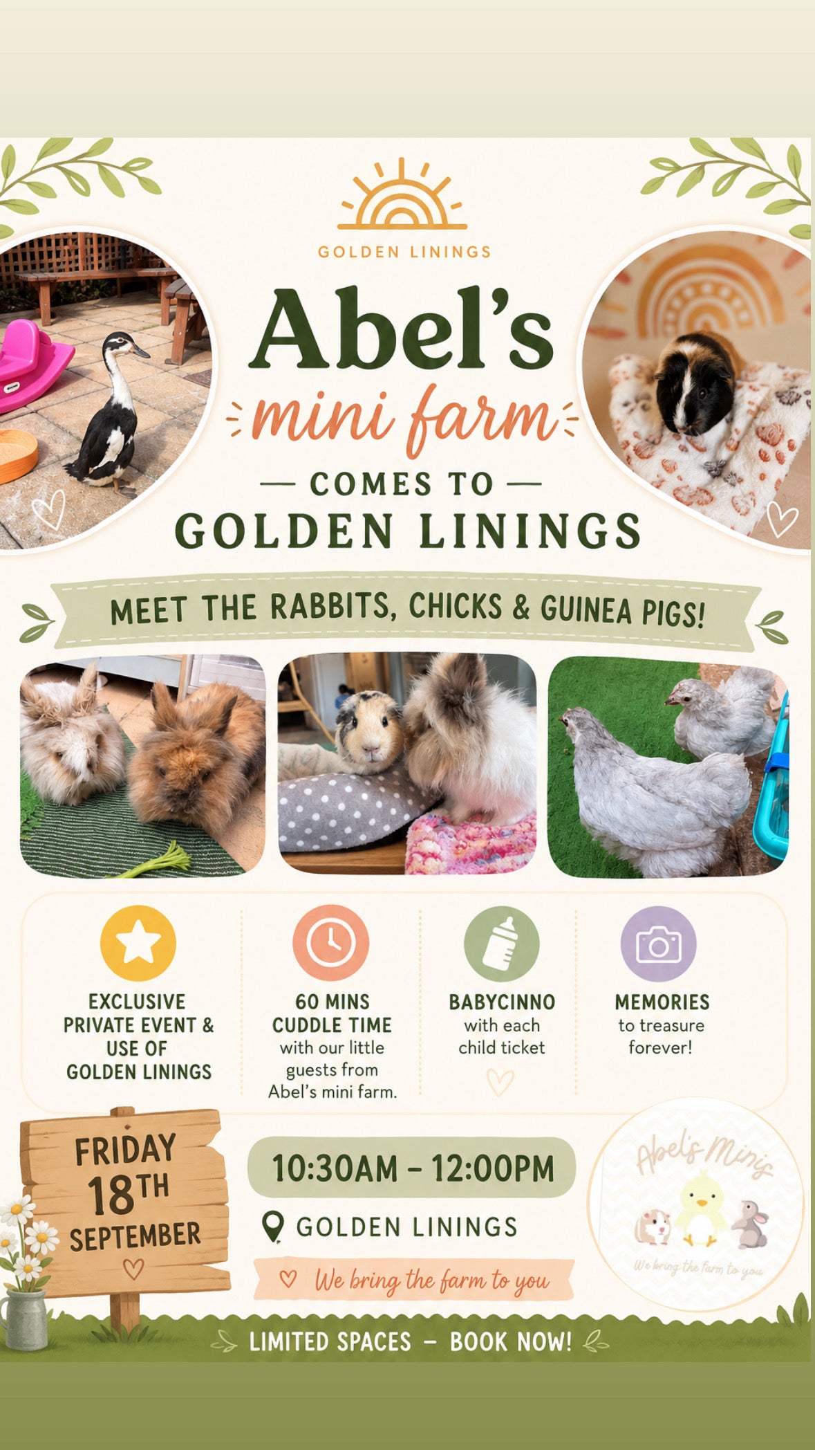 Abel’s Mini Farm @ Golden Linings